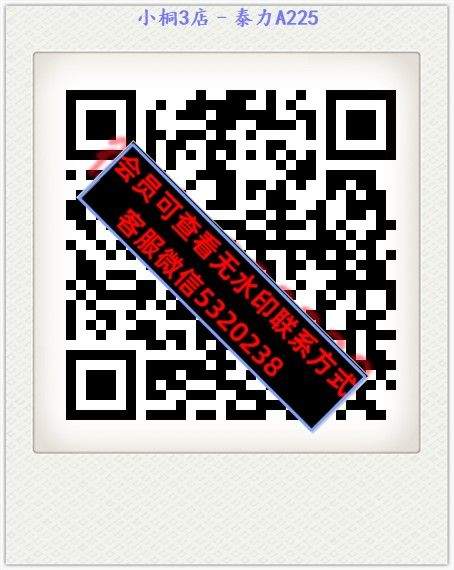 小桐3店–泰力A225