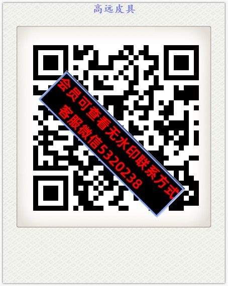高远皮具