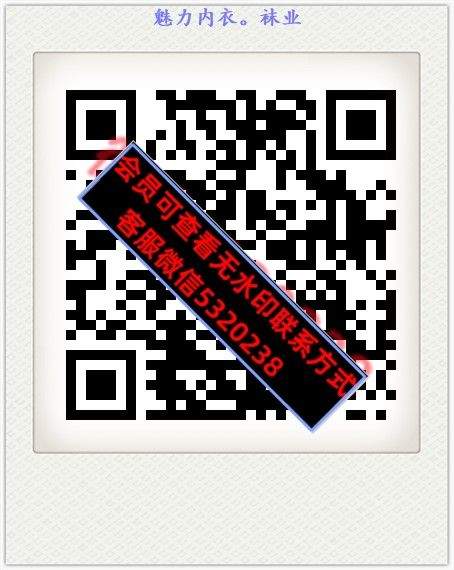 魅力内衣。袜业