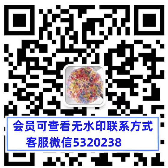 南油110栋考拉