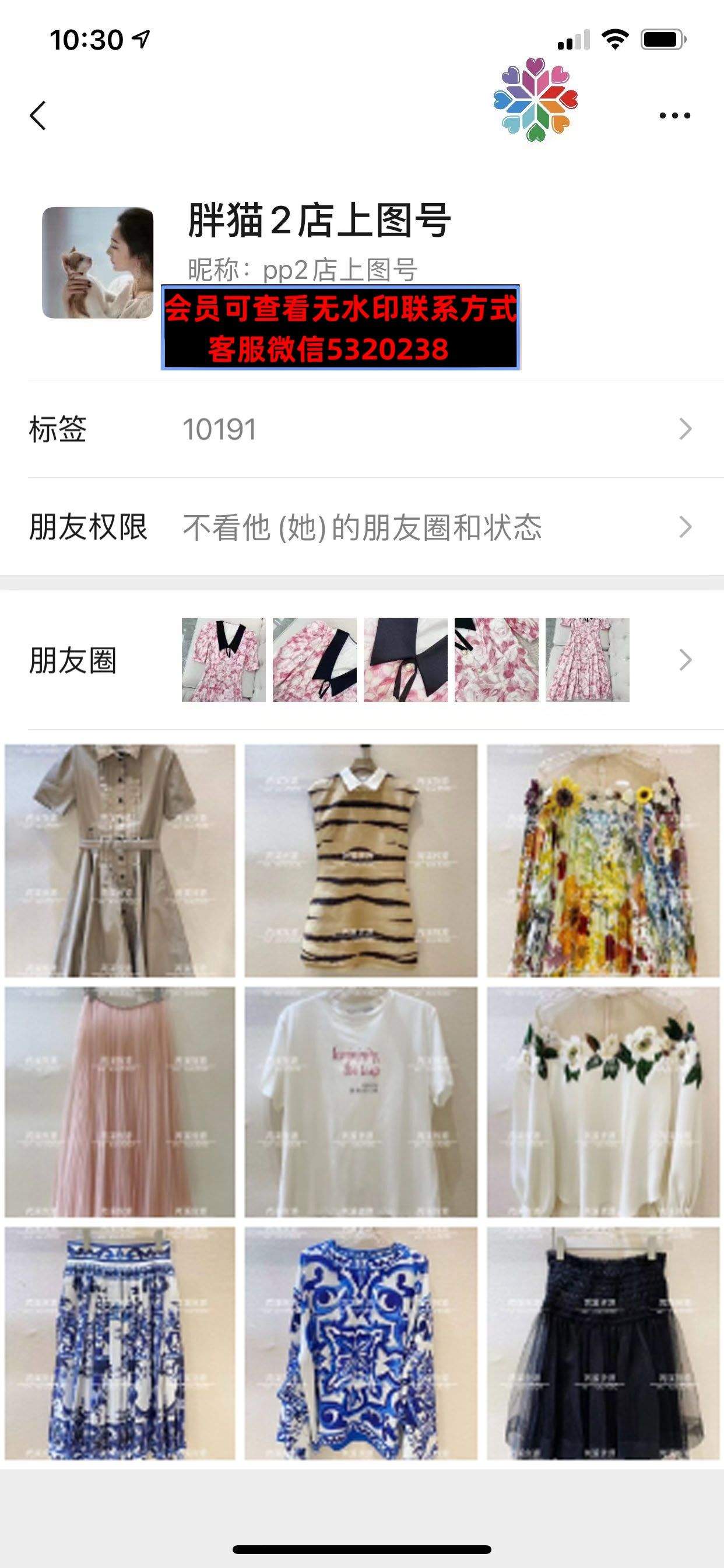 深圳南油胖猫