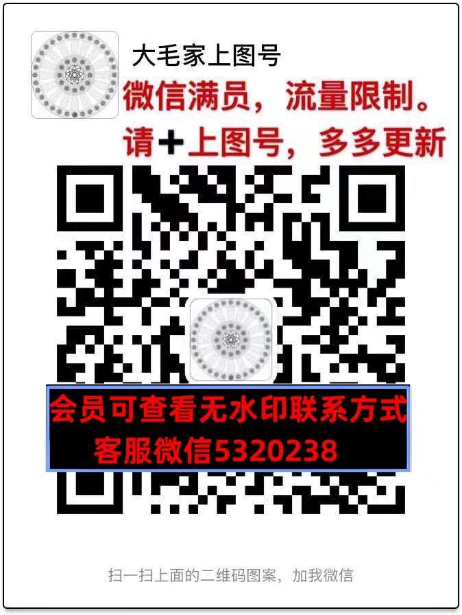 深圳南油高端女装小凤凰1114D409