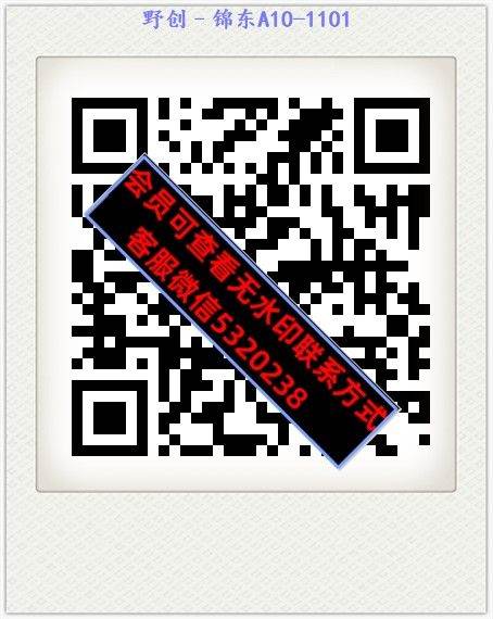 野创–锦东A10-1101