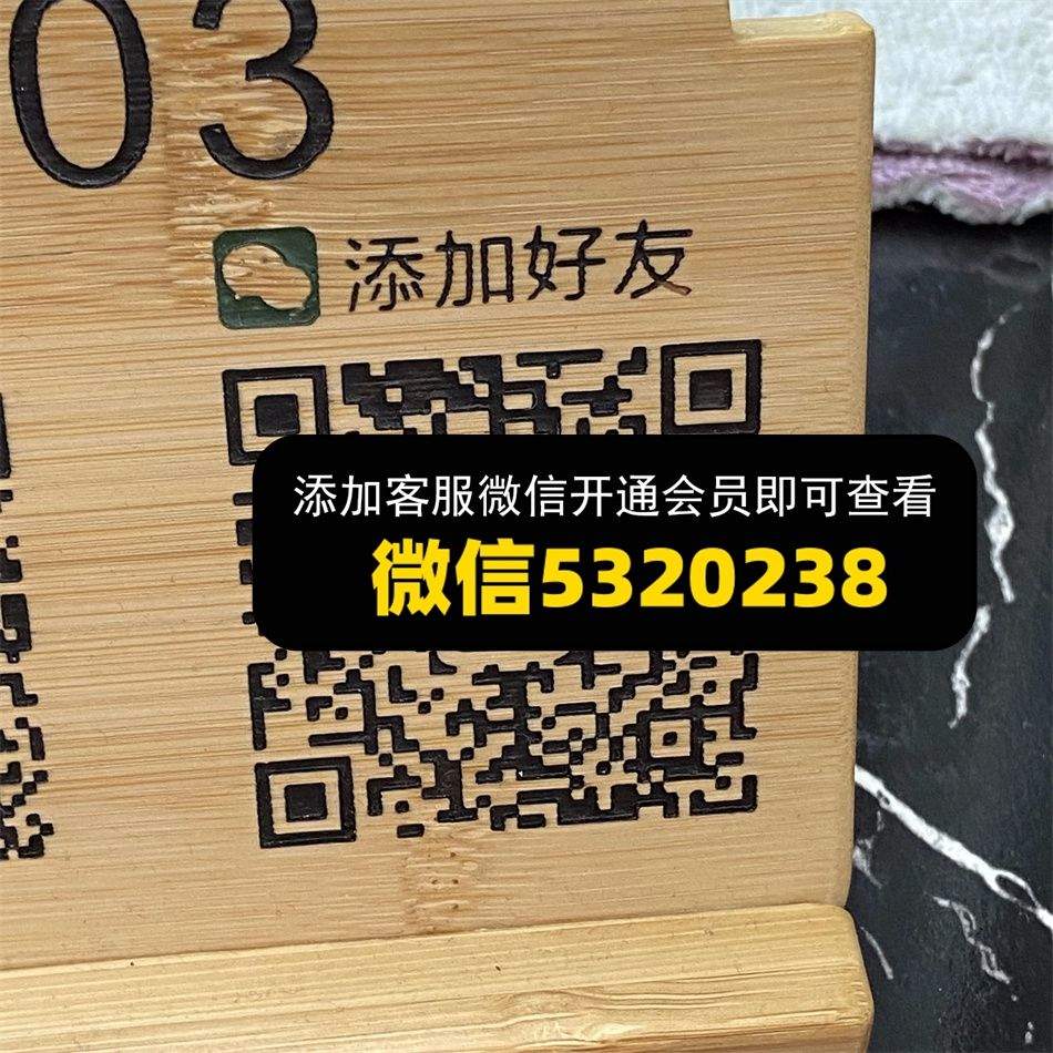1003鞋业