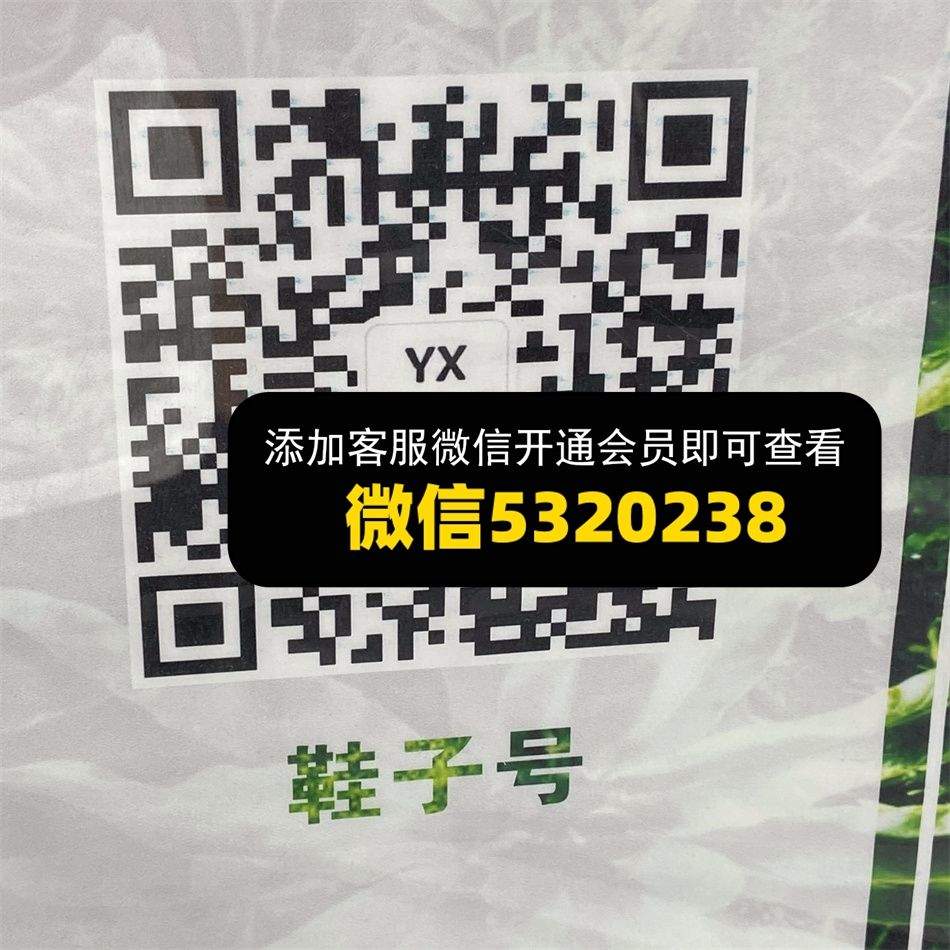YX潮鞋社