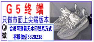 G5终端