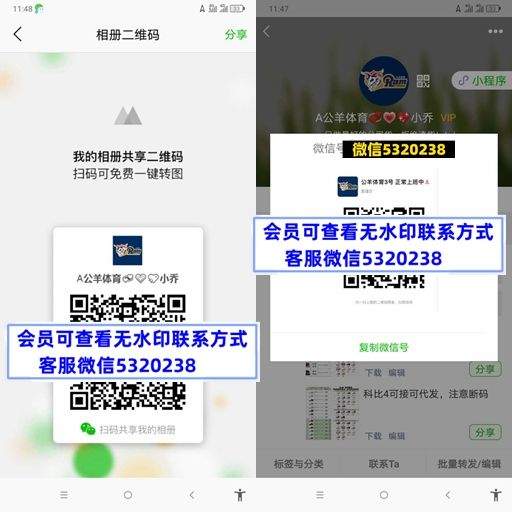 公羊体育