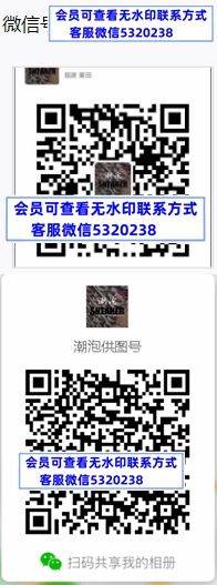 潮泡供图