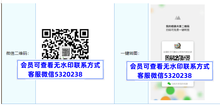 足美主打真标高端货
