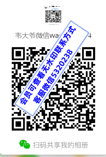 韦大爷供图