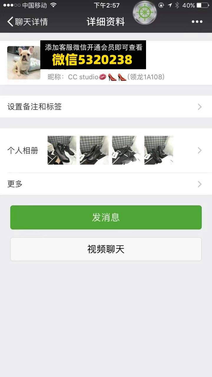 广州领龙高端女鞋 CC studio
