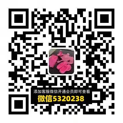 江南  红星鞋厂