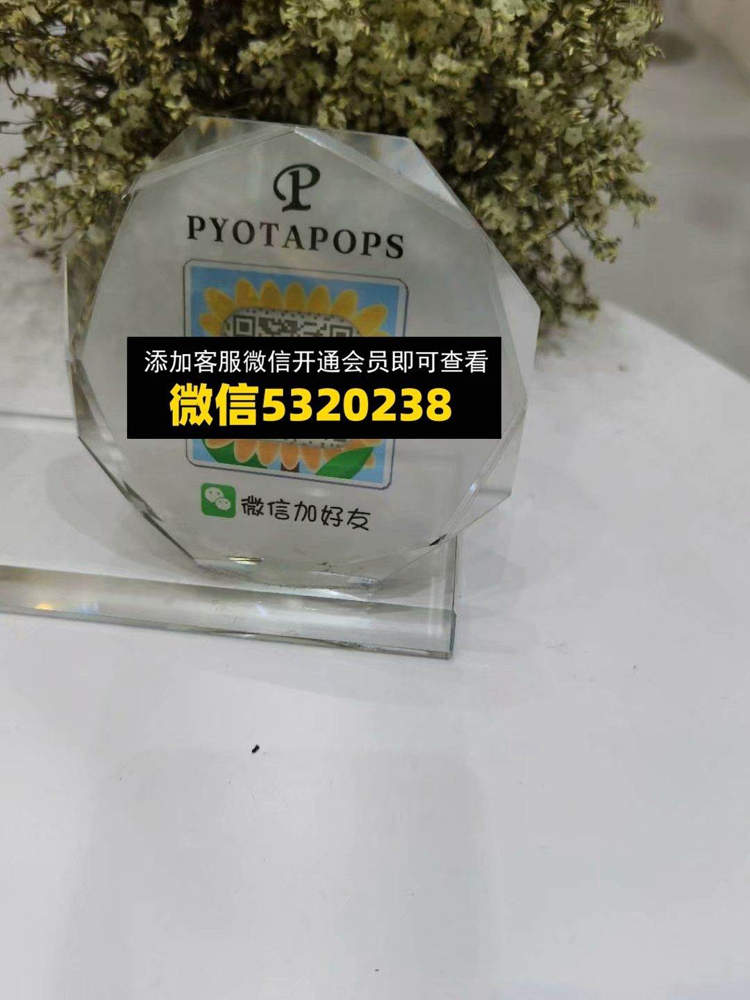 童装货源 (86)