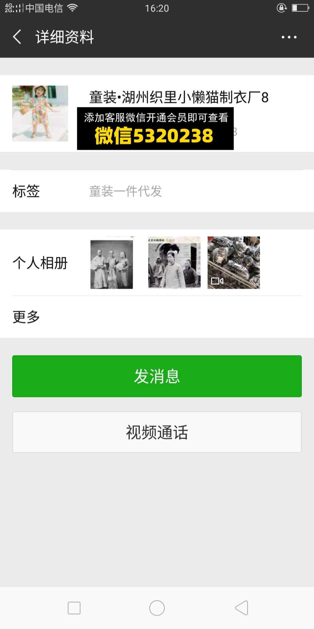 湖州 小懒猫