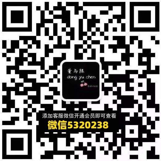 董与陈 意法
