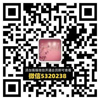 锦雅(1)