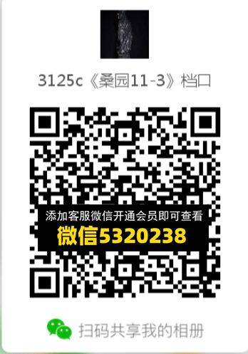 常熟外贸村微商相册 (295)