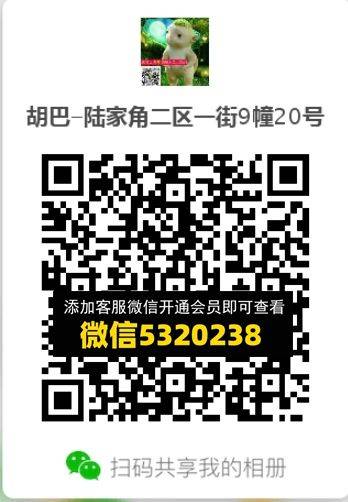 常熟外贸村微商相册 (581)