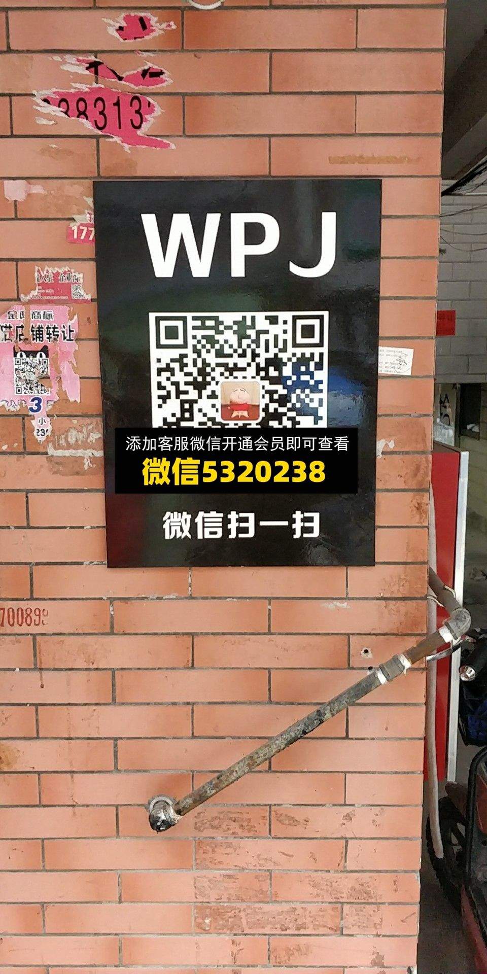 WPJ