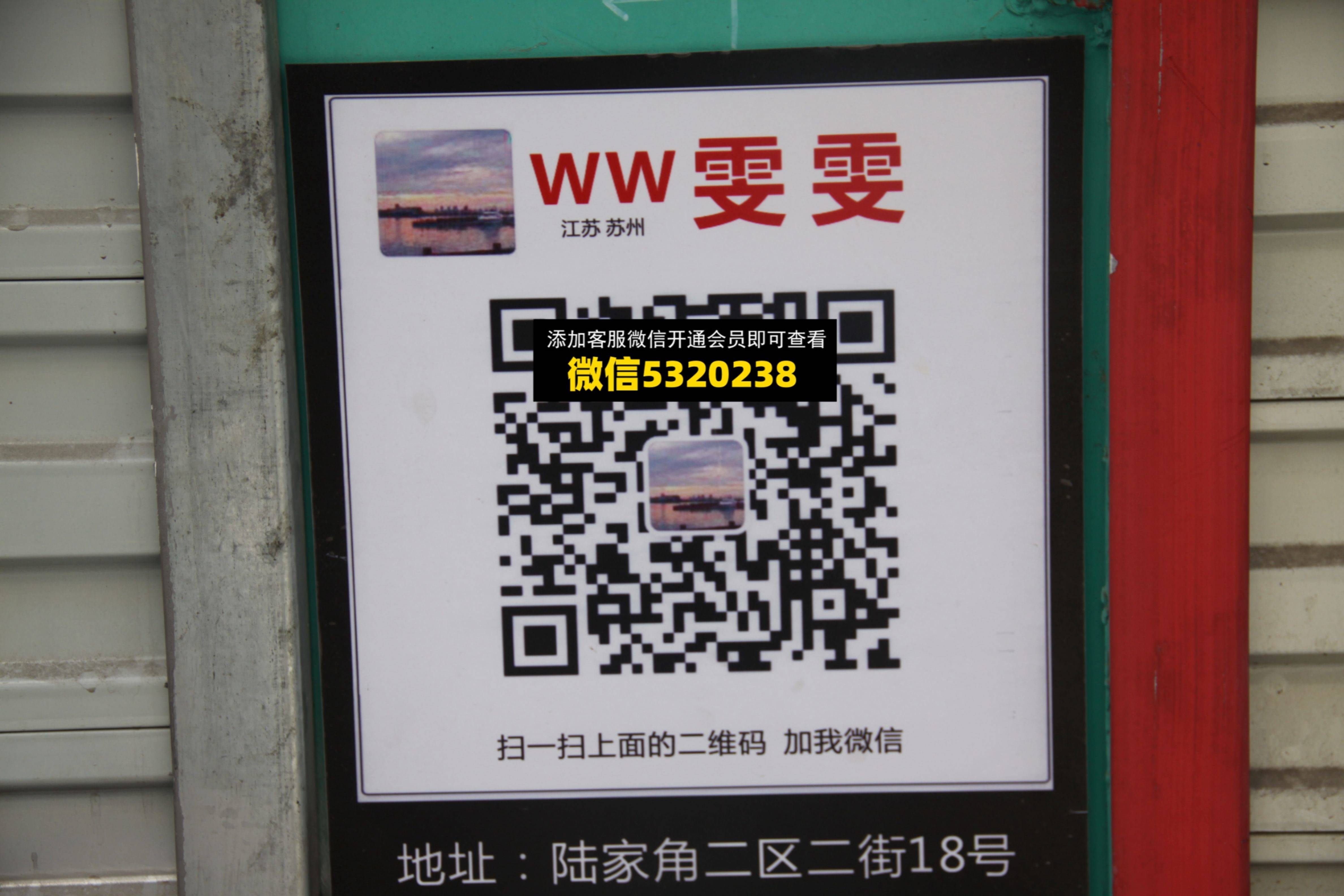 WW雯雯