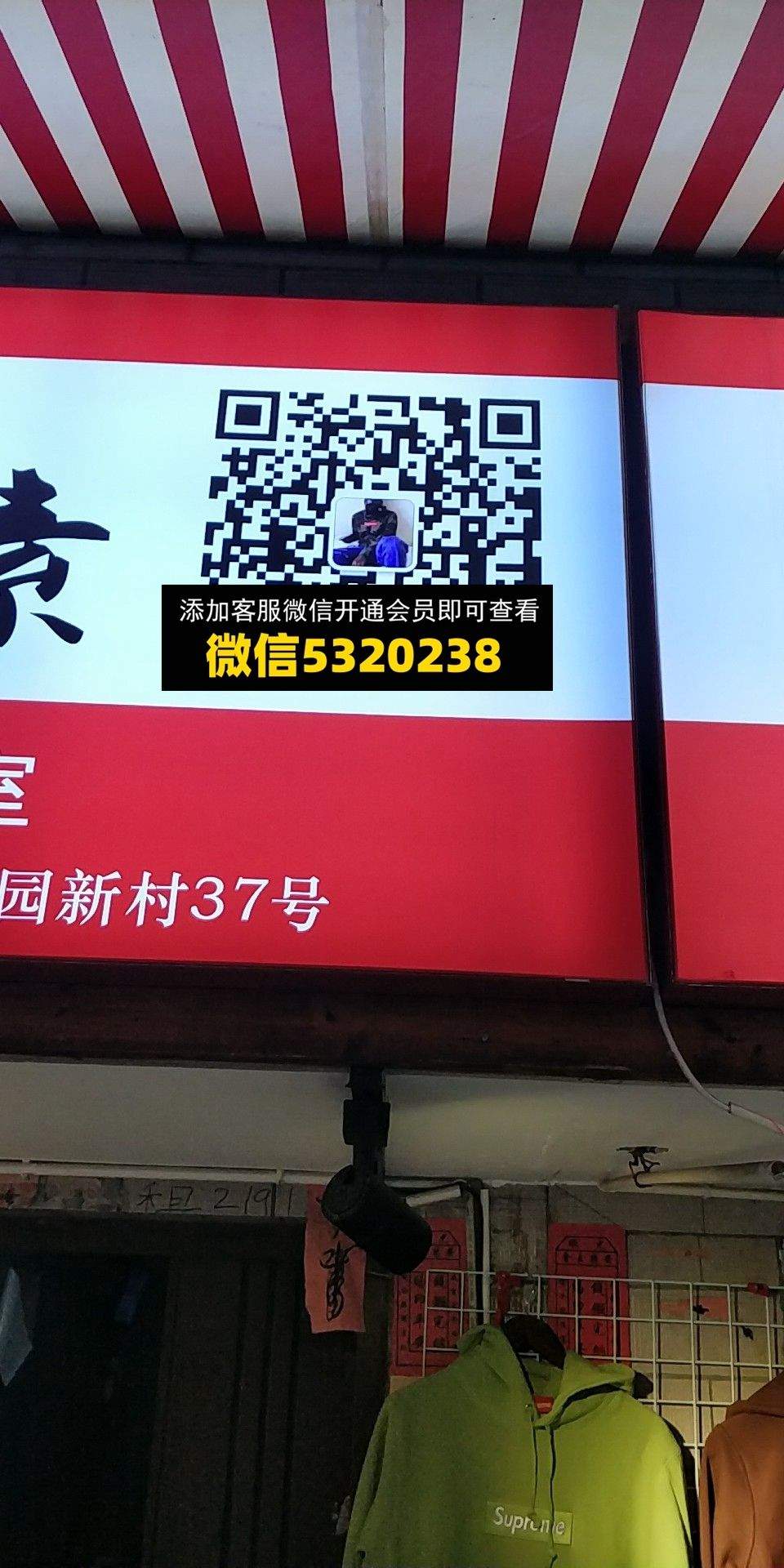 YP元素
