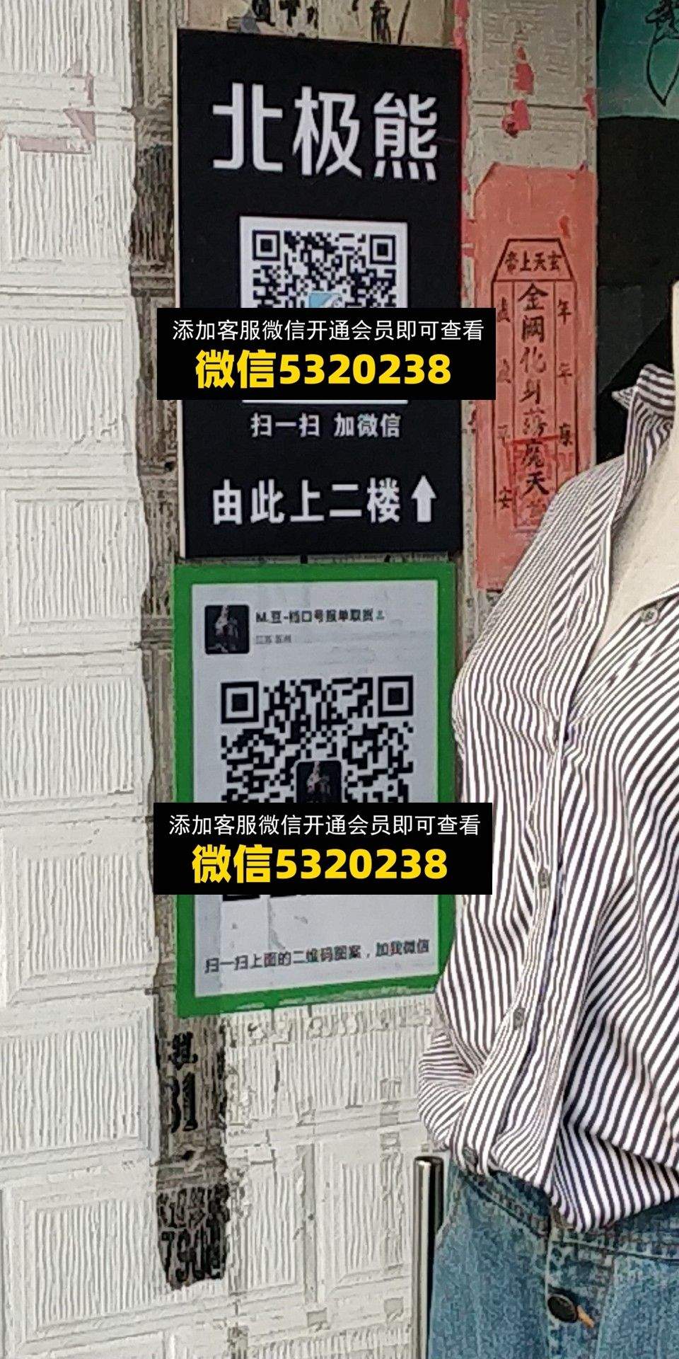 北极熊 A豆