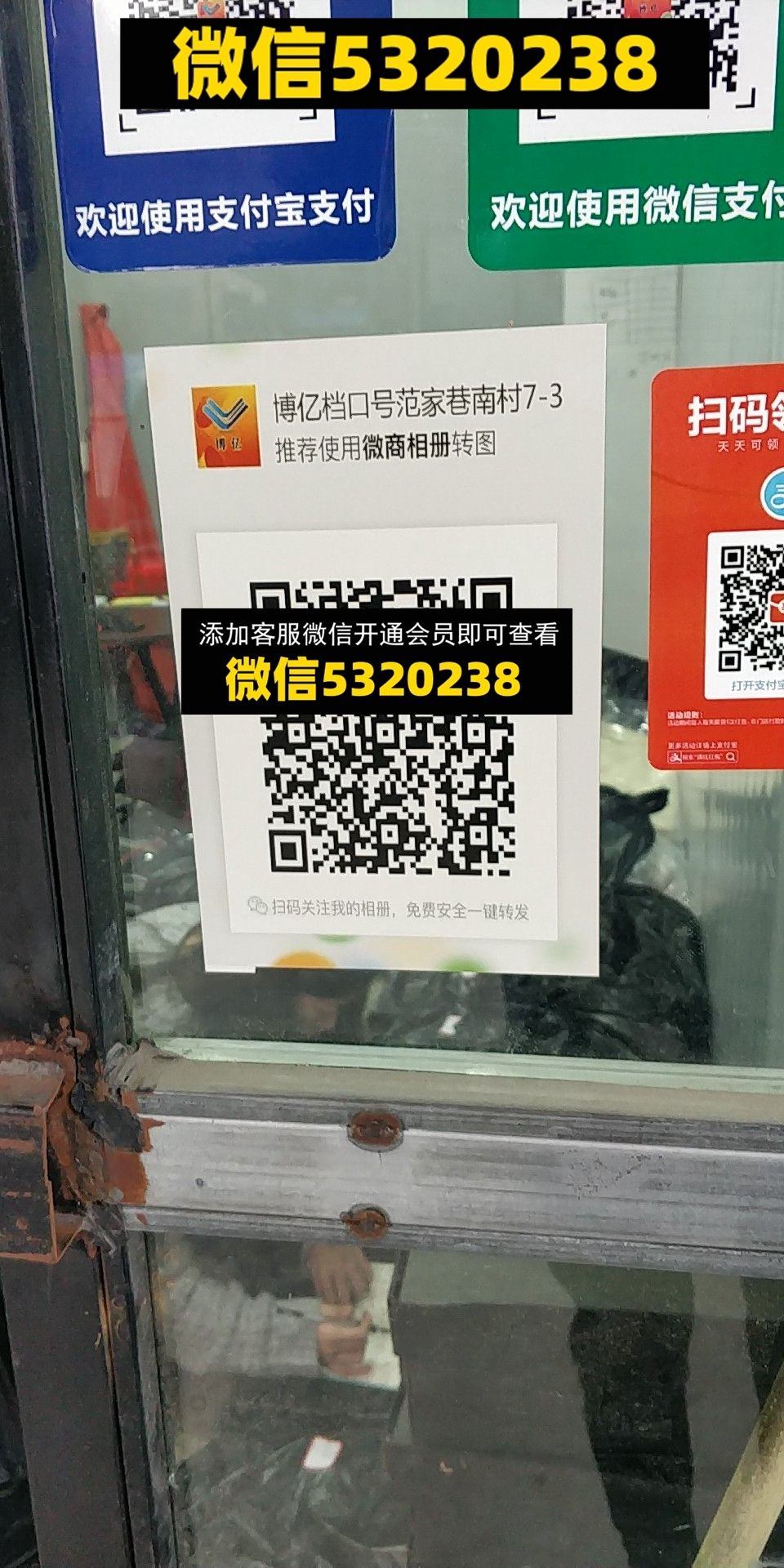 博艺
