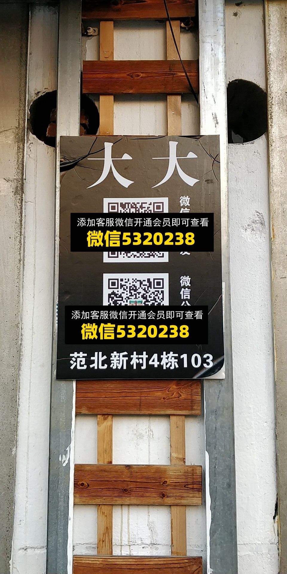 大大