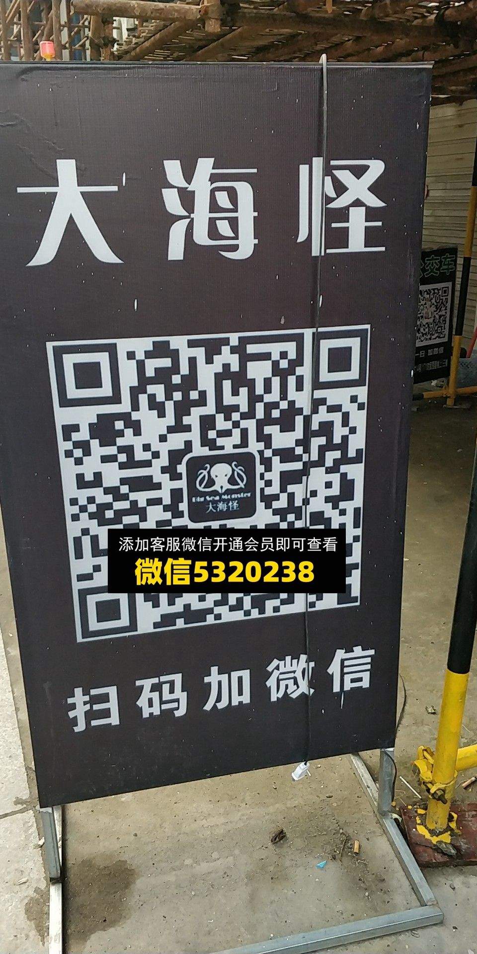 大海怪