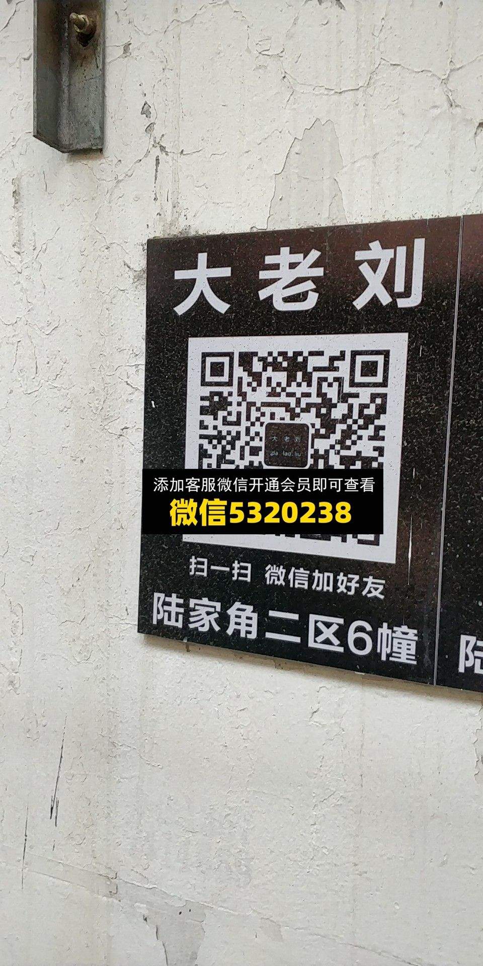 大老刘