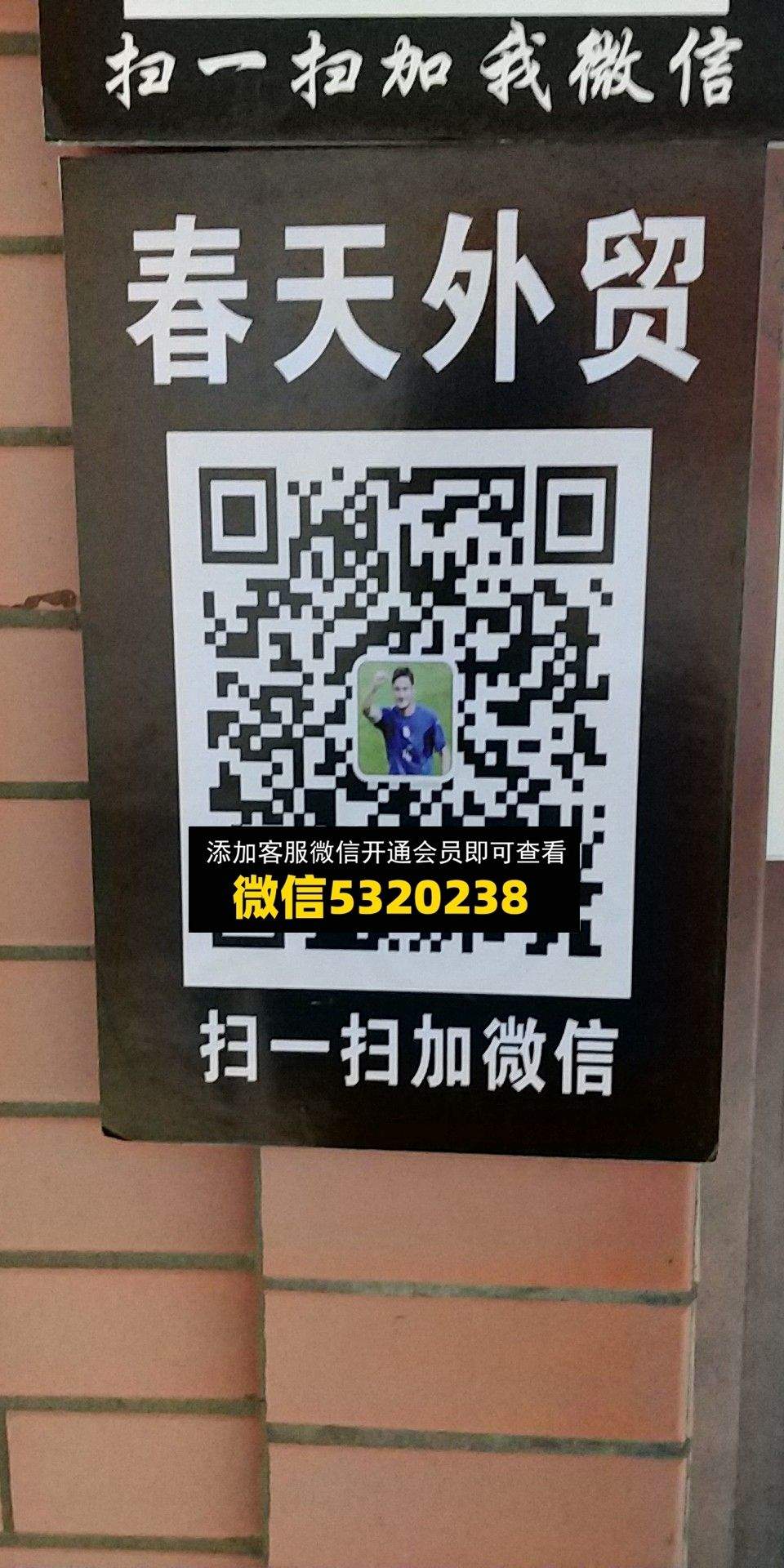春天外贸