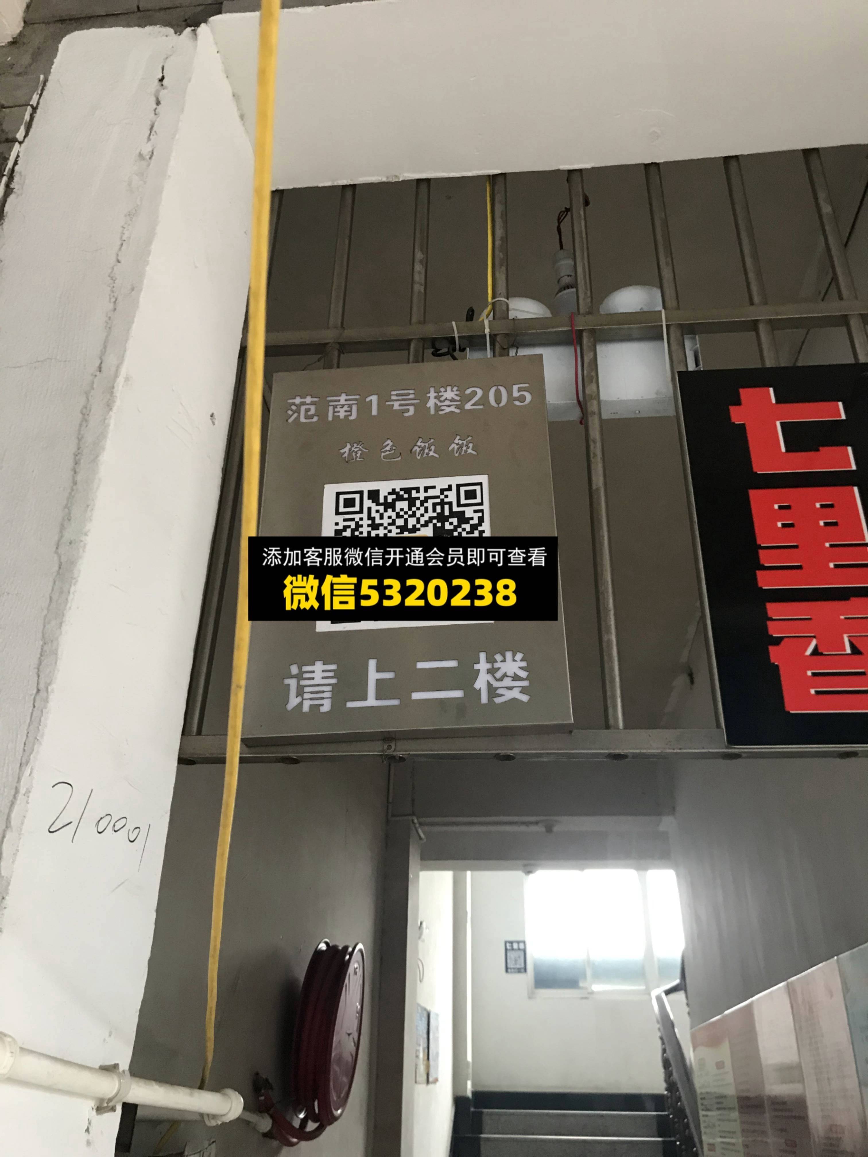 橙色饭饭