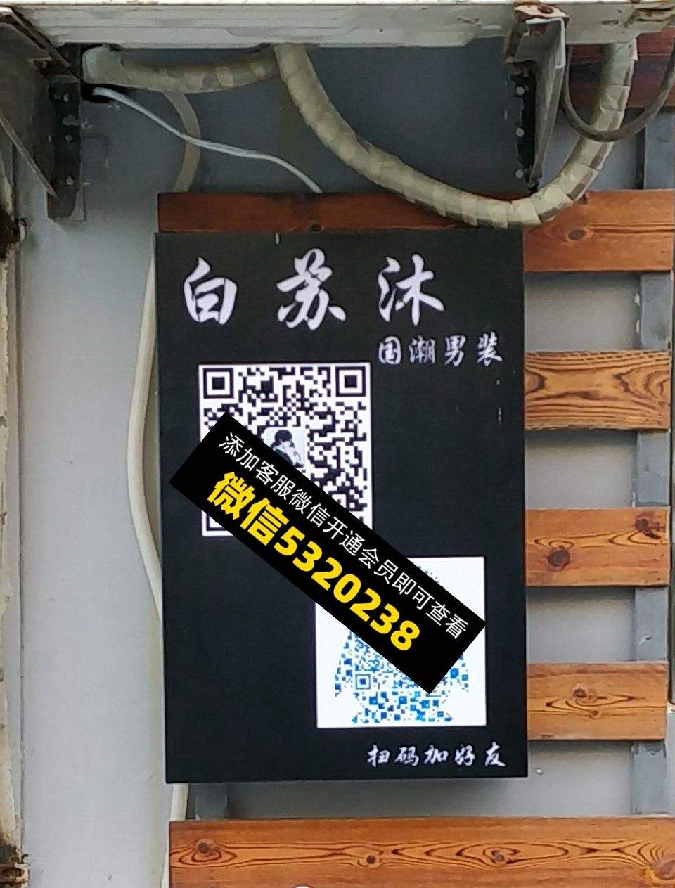 白苏沐