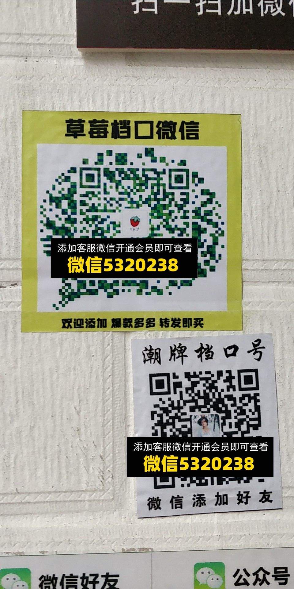 草莓 潮牌