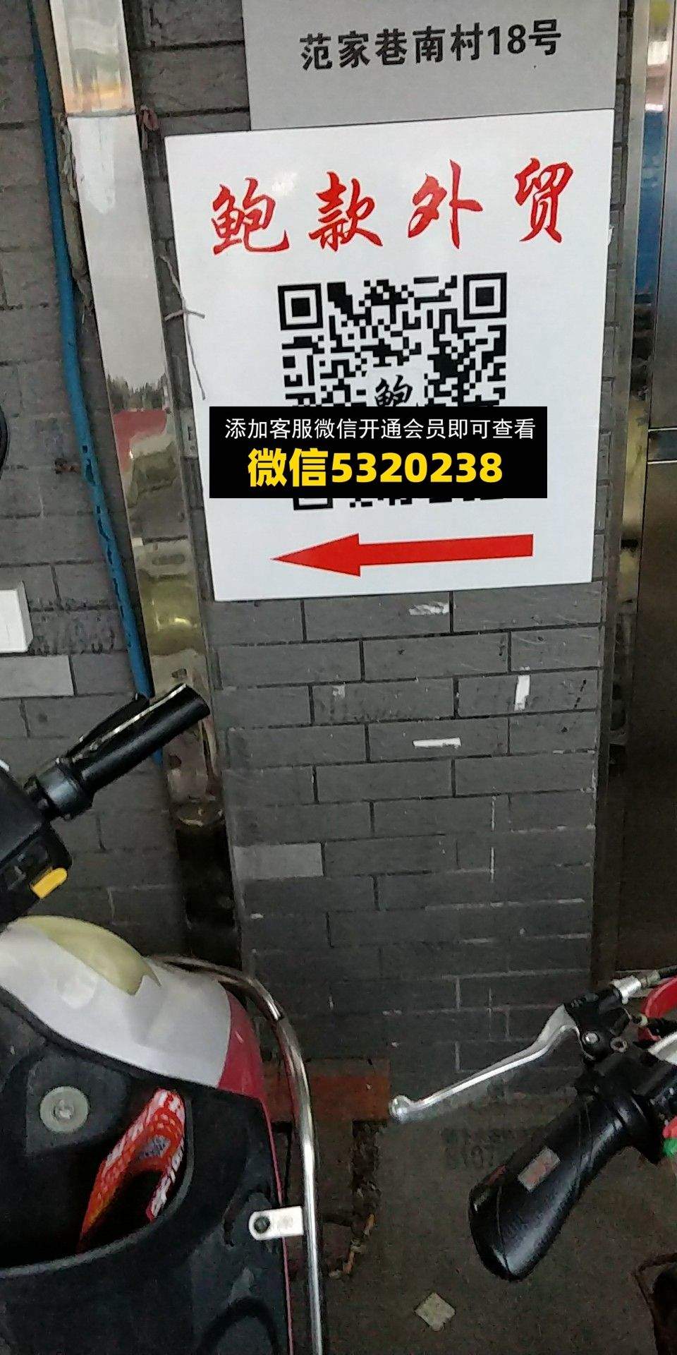鲍款外贸