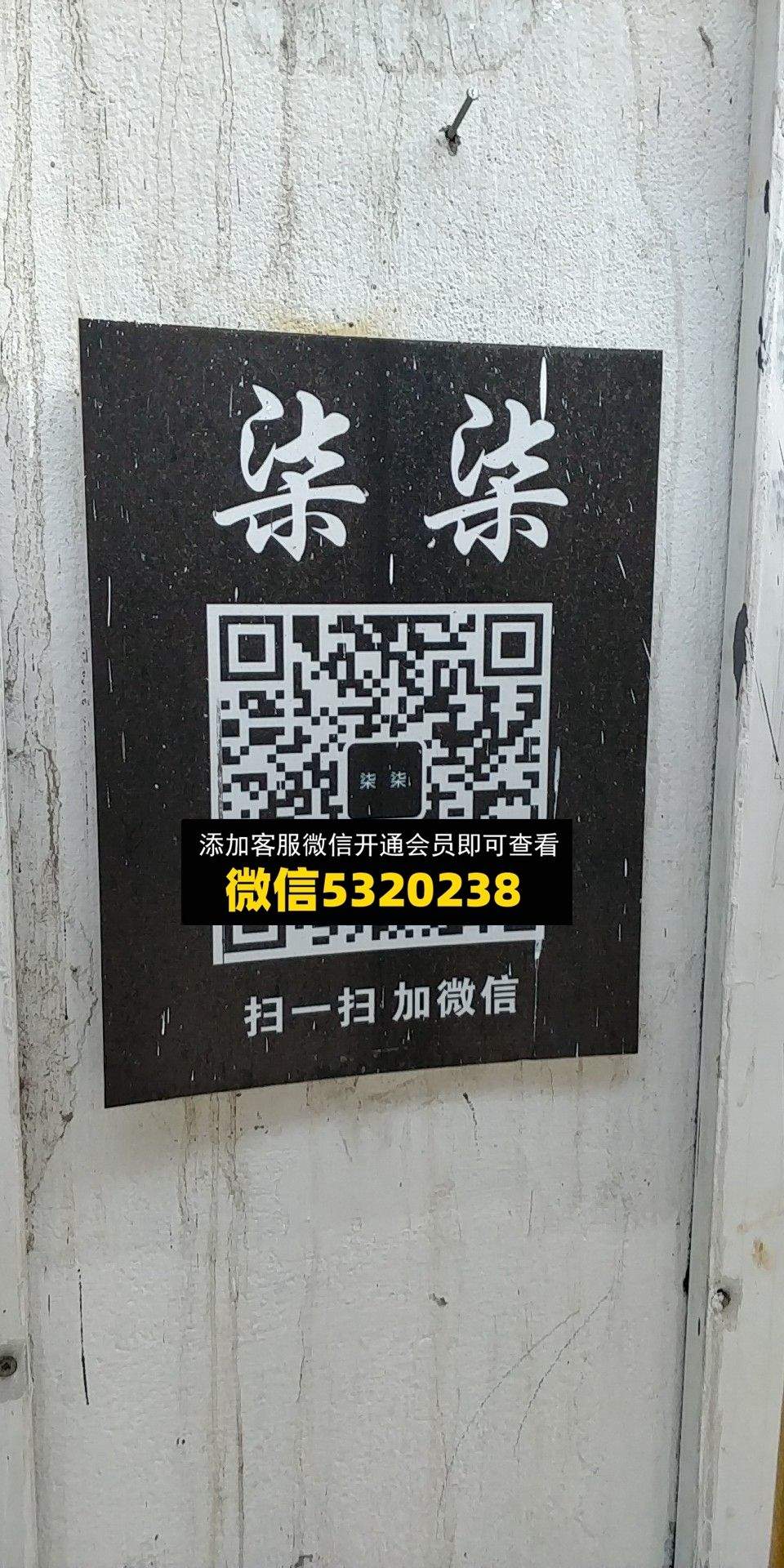 七七