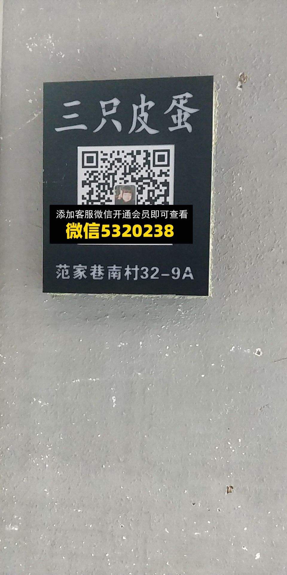 三只皮蛋