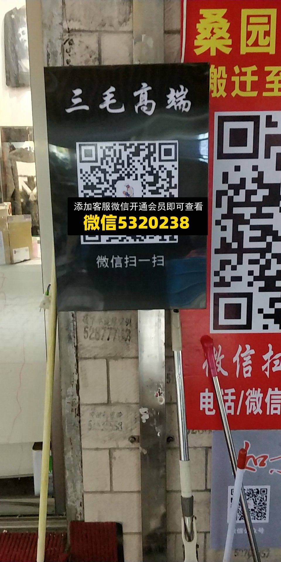 三毛