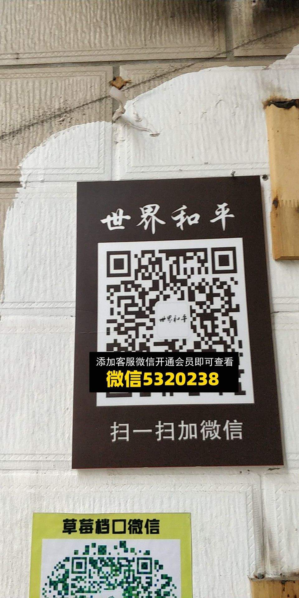 世界和平