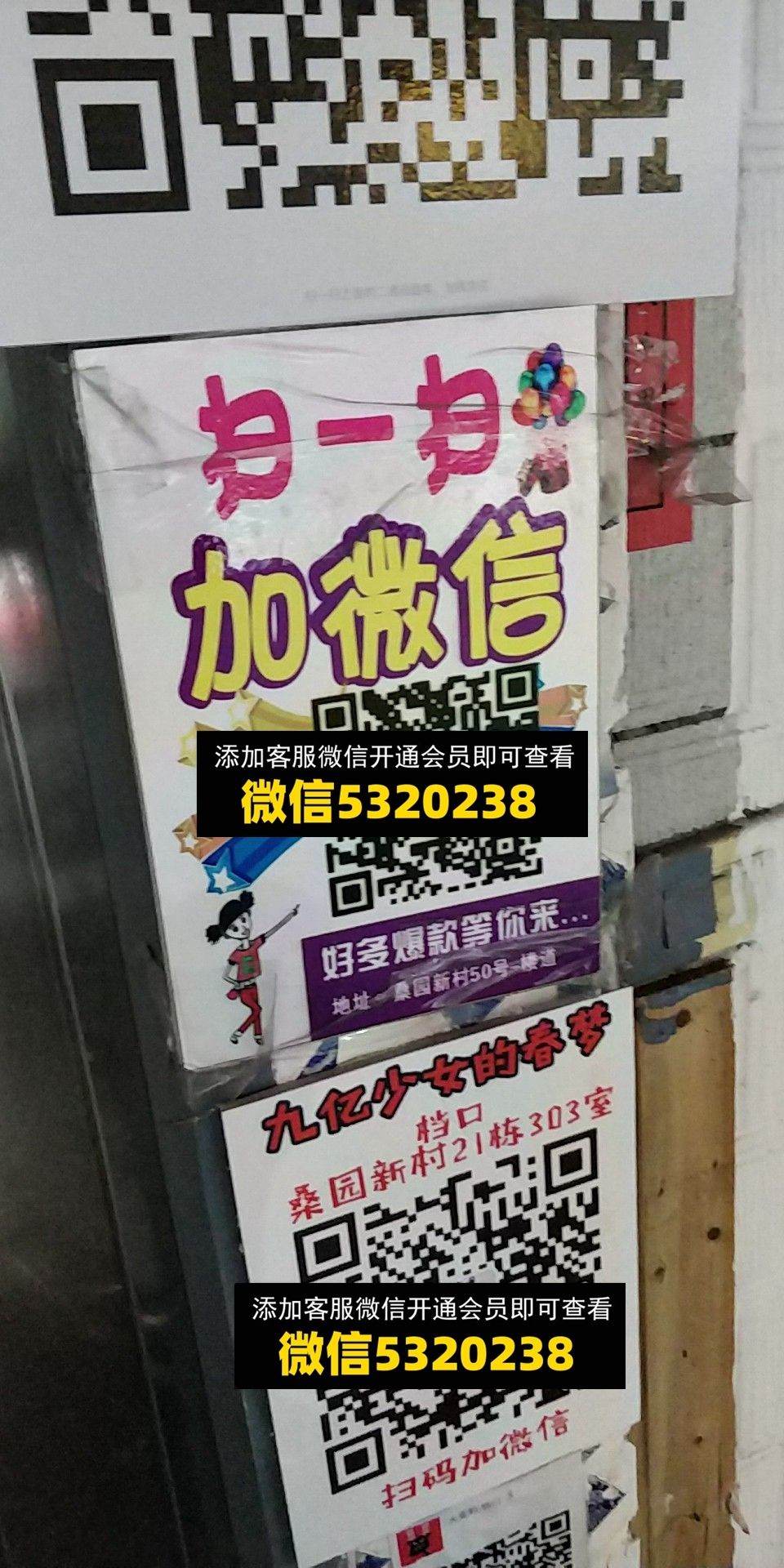 九亿少女的春梦