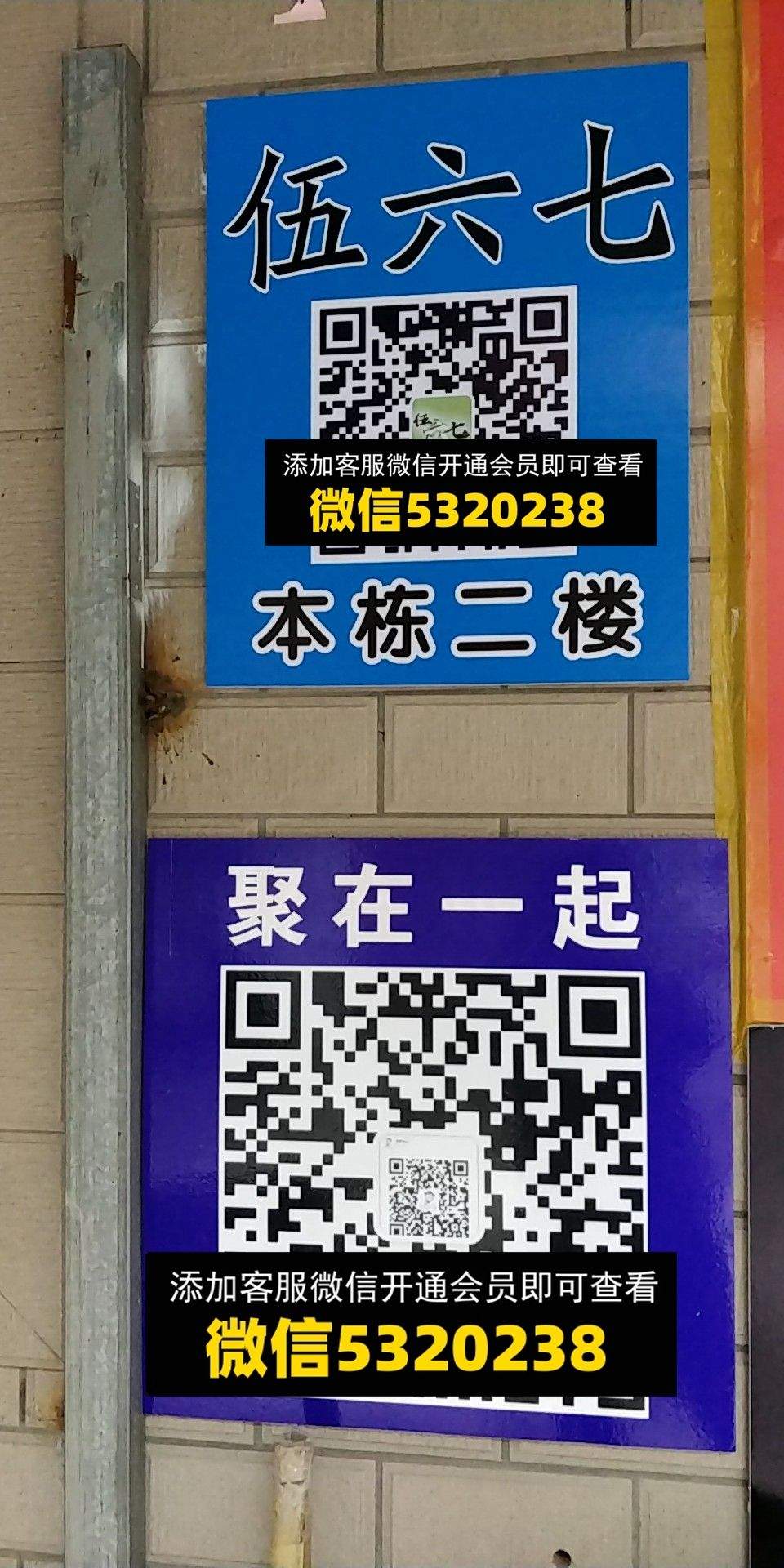 五六七 聚在一起