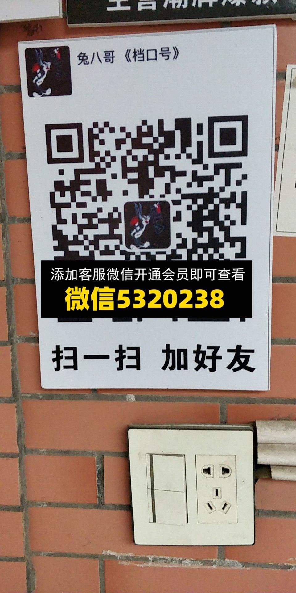 兔八哥