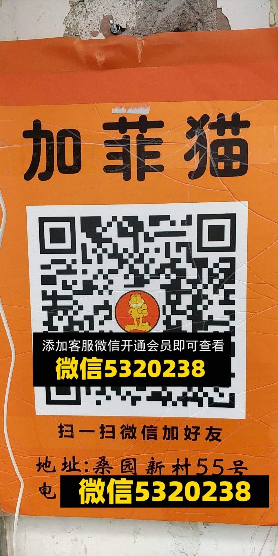 加菲猫