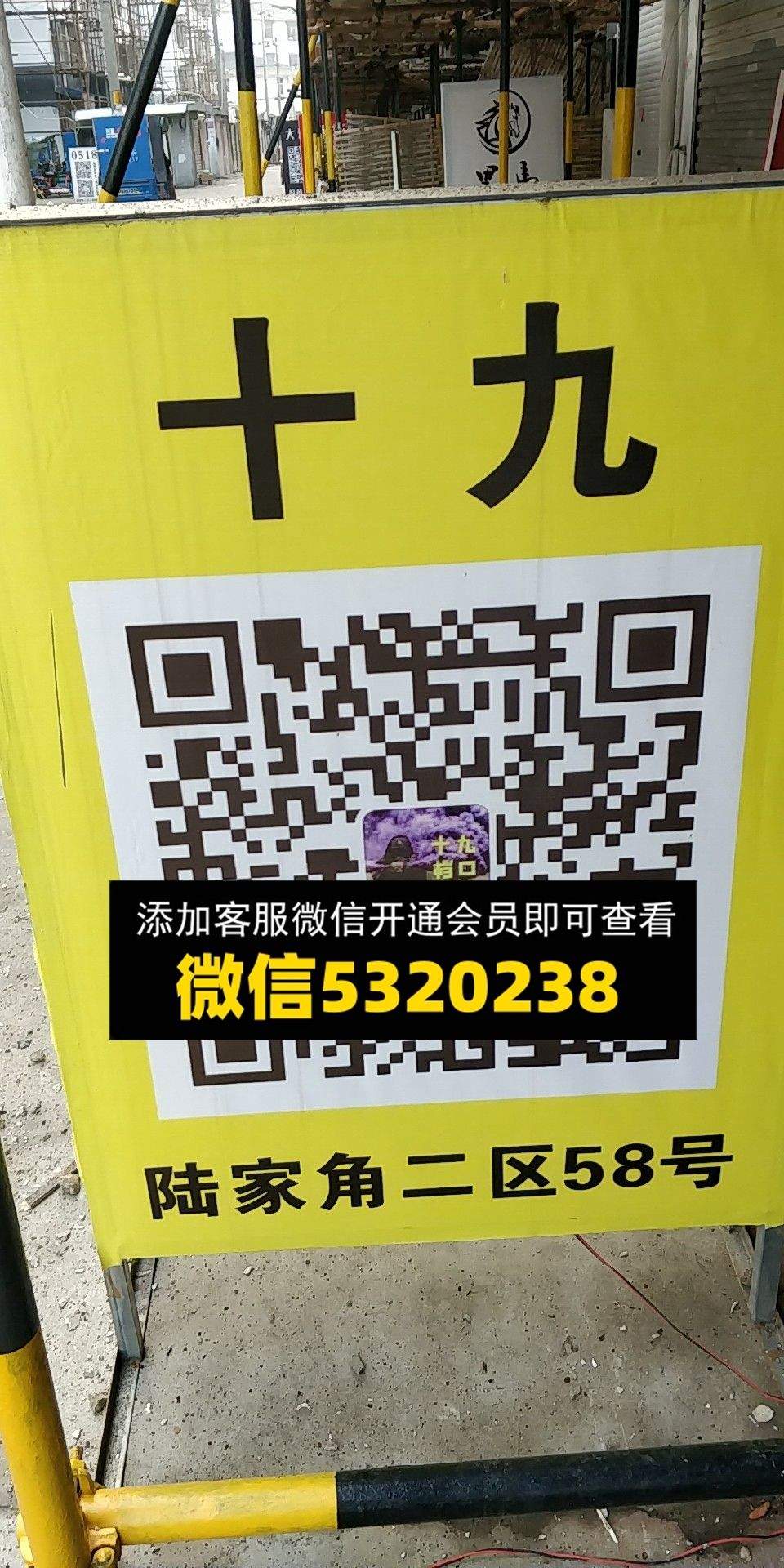 十九