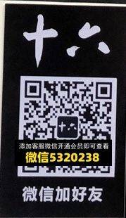 十六