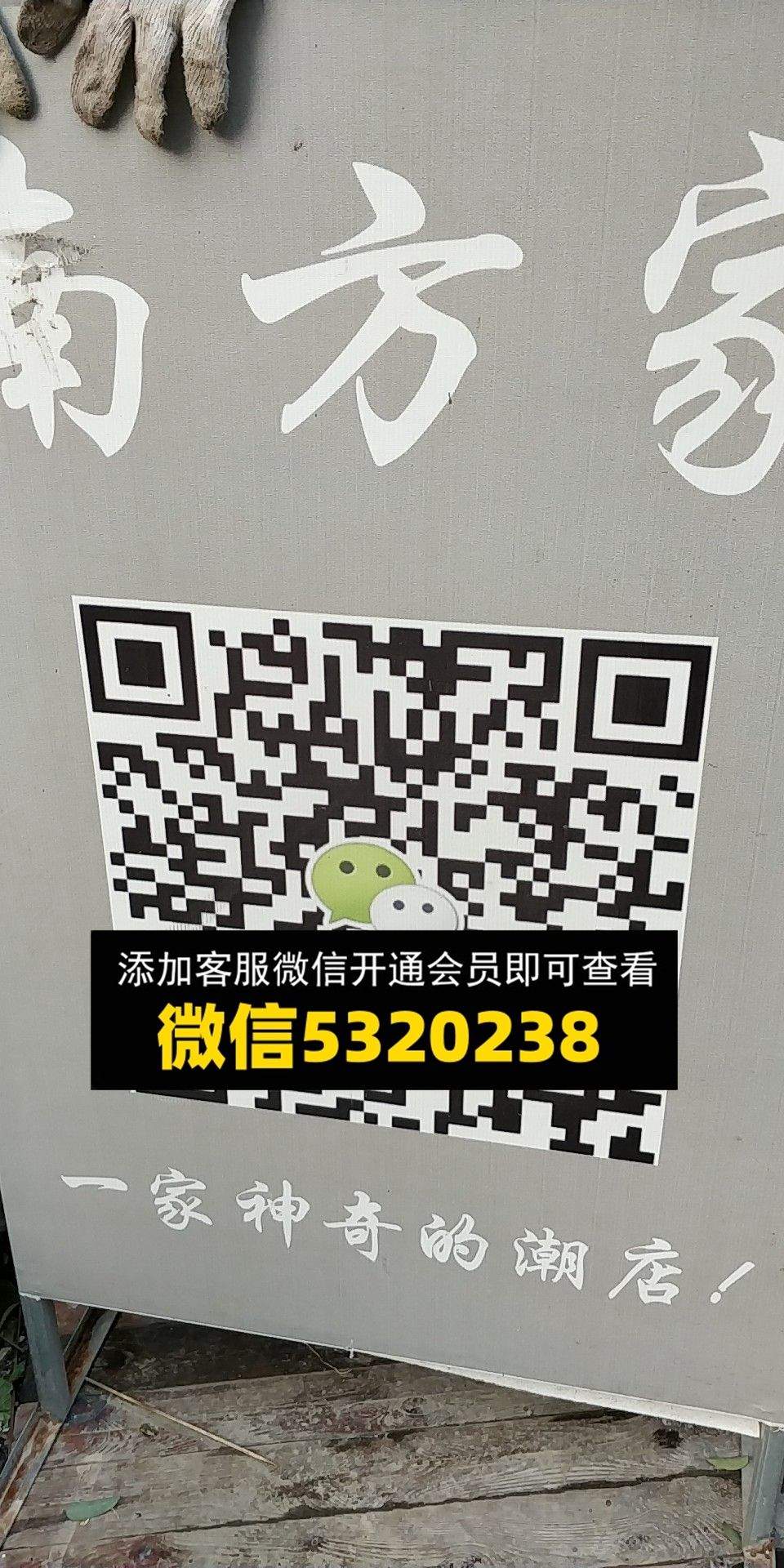 南方