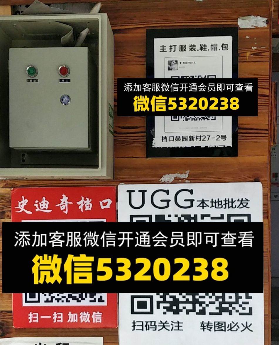 史迪奇 UGG