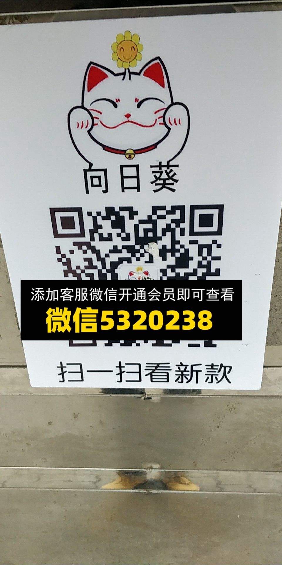 向日葵