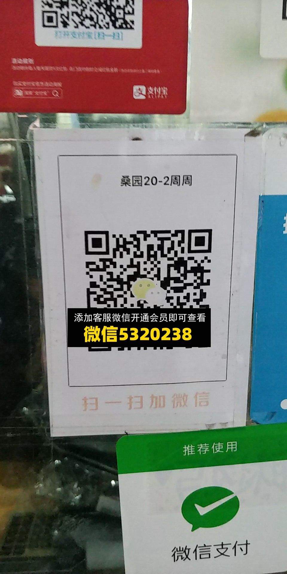 周周