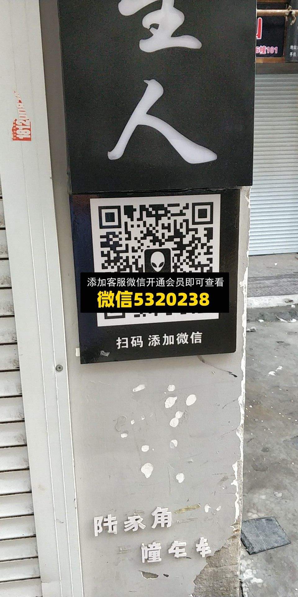 外星人